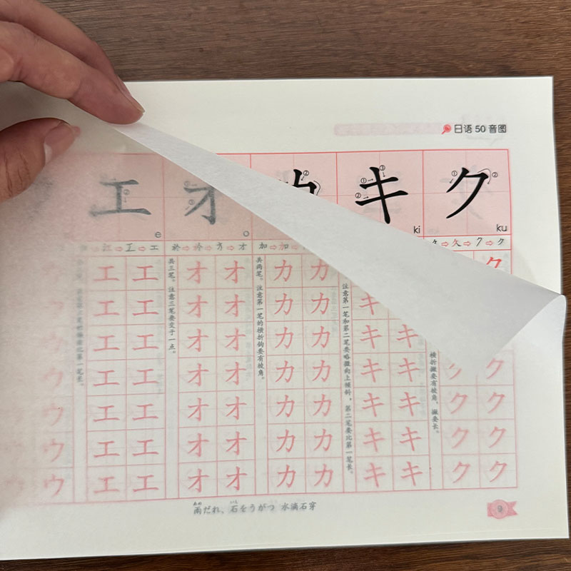 Chinese Calligraphy Practice Book - Zero Beginner Japans Hiragana Katakana schrijfboek,