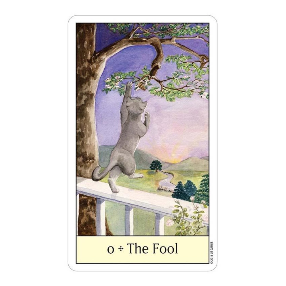Katten Oog Tarot 12X7 Cm Kaart - Tarot Deck With Guidebook recensie en prijs