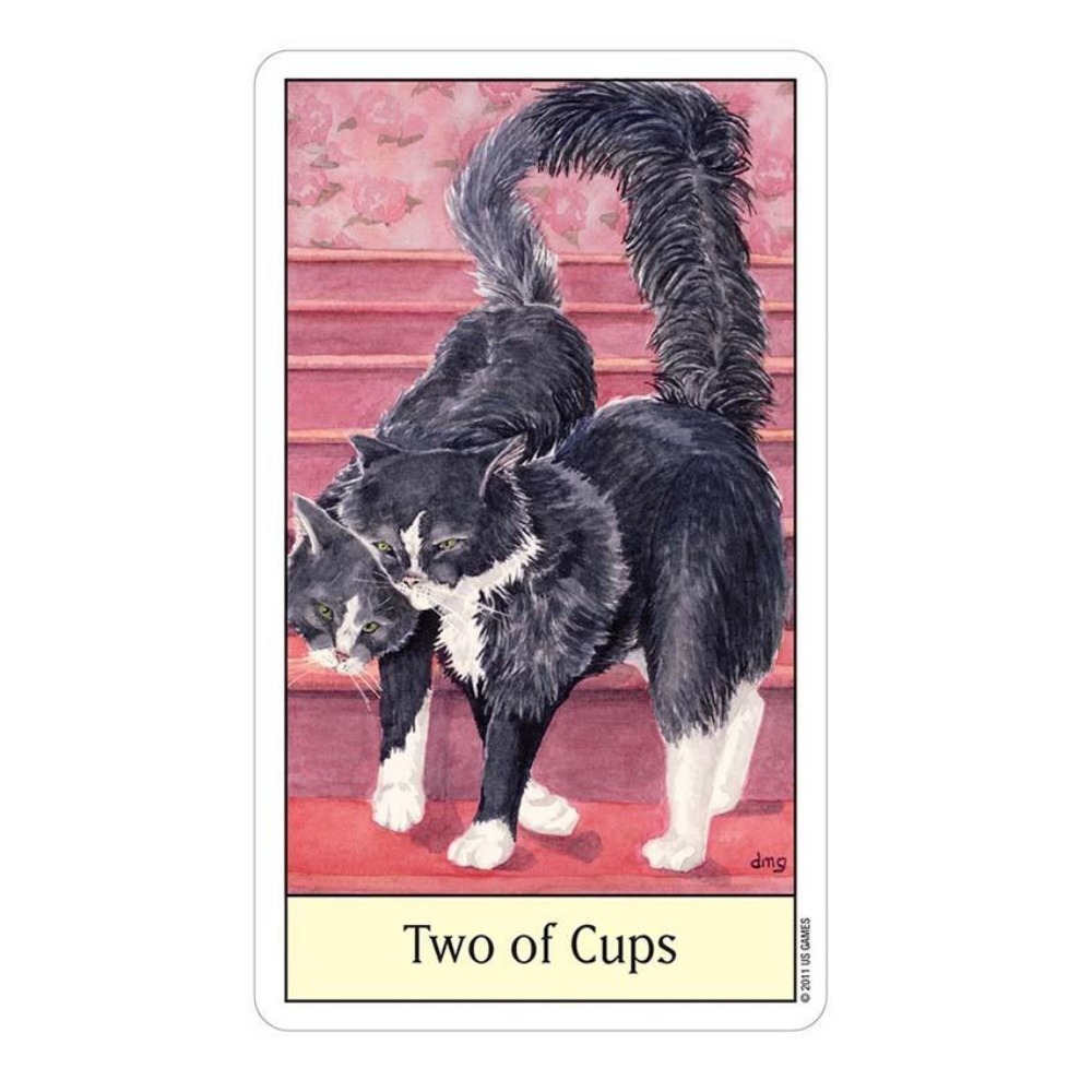 Katten Oog Tarot 12X7 Cm Kaart - Tarot Deck With Guidebook recensie en prijs