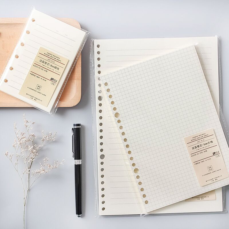 A5 B5 Lijnraster 20 Gaten Losb - A5 Spiral Dotted Grid Notebook recensie en prijs