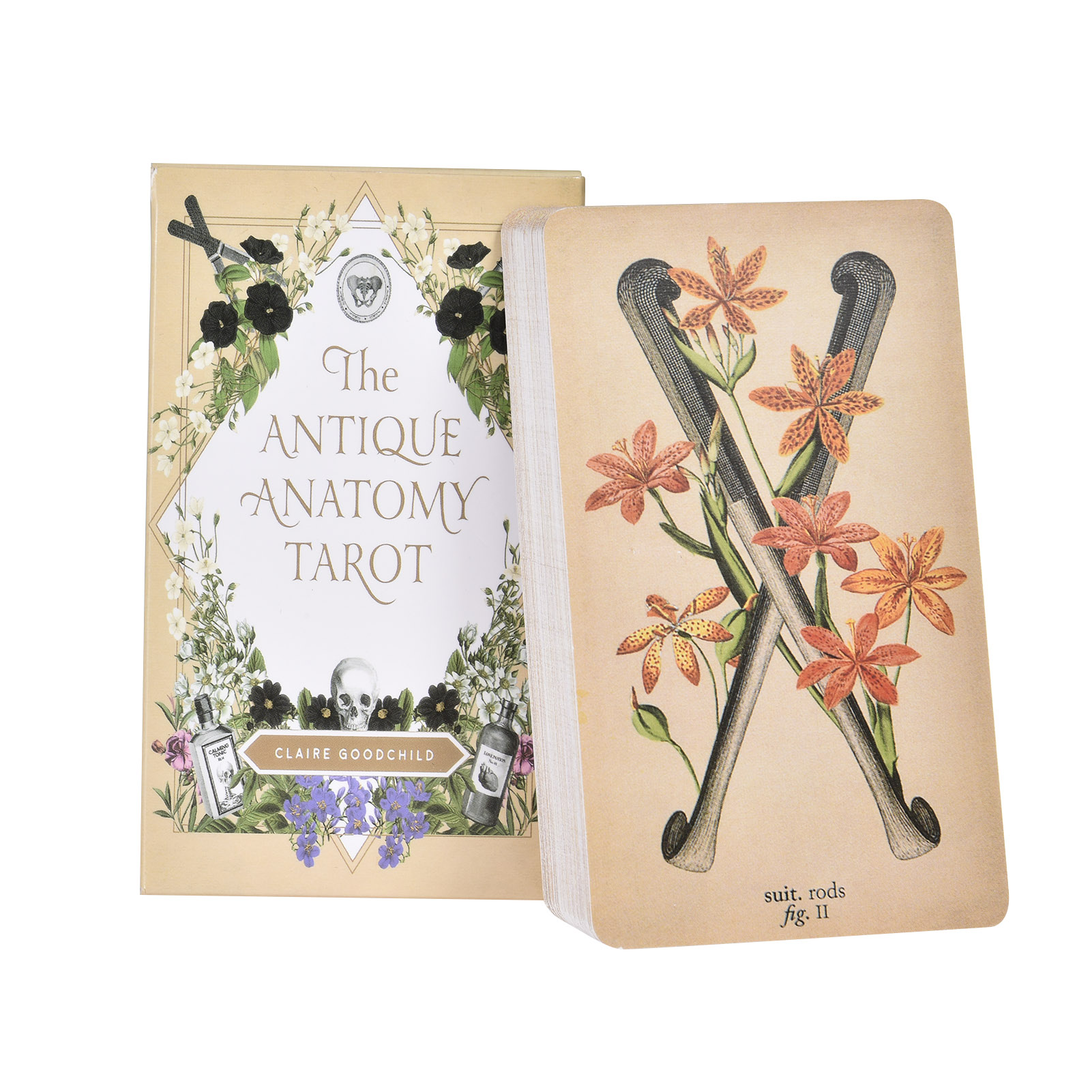 De Antieke Anatomie Tarotkaart - Tarot Deck With Guidebook recensie en prijs