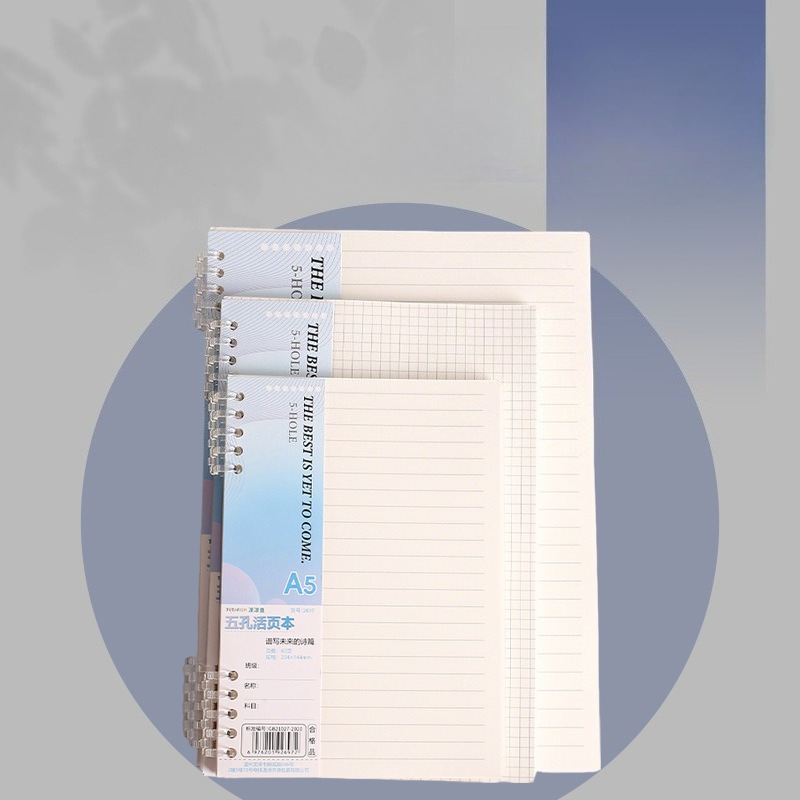 A4 B5 A5 losbladig notitieboek - A5 Spiral Dotted Grid Notebook recensie en prijs
